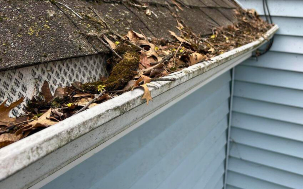 BLOG Gutter clogged 1024x640 1
